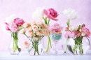 Flores da Primavera em Vasos de Vidro