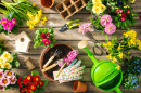 Ferramentas de Jardinagem e Flores da Primavera