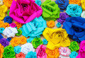 Rosas de Papel