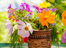 Flores de Verão em um Vaso