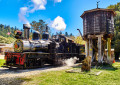 Roaring Camp, Califórnia