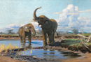 Elefantes em um Charco