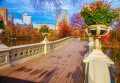 Bow Bridge (Ponte Bow) no Central Park, Cidade de Nova Iorque