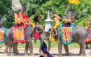 Exibição de Elefantes em Nakhon Pathom, Tailândia