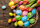 Ovos de Páscoa e Tulipas