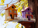 Casas de Pássaros de Madeira