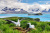 Albatroz Errante Gigante, Ilha Prion