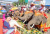 Festival de Elefantes de Surin, Tailândia