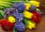 Tulipas, Jacintos, Veronicas e Ranunculus