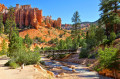 Trilha da Caverna de Mossy, Parque Nacional de Bryce Canyon, Utah