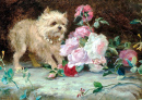 Cão e Flores
