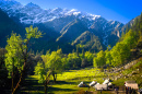 Vale Parvati, Montanhas Himalaias