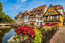 Colmar, Alsácia, França