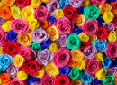 Rosas multicoloridas