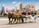 Carruagem de cavalos em Melbourne, Austrália