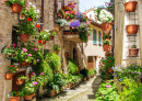Cidade medieval de Spello, Italy