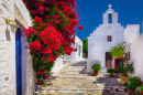 Mediterranean Street, Amorgos, Grécia