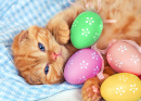 Gatinho bonito com ovos coloridos