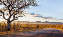 krugernationalpark-southafrica-1920x1164