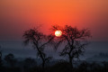 Kruger National Park sun setting