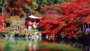 Daigoji Temple 1