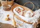 Bebê em uma cesta de vime e Goslings