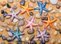 Estrelas do Mar