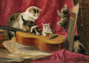 Gatos fazendo música