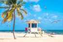 Praia com palmeira em Fort Lauderdale