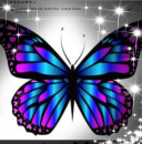 FB_IMG_1591757067381