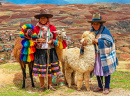 Duas mulheres com duas lhamas e uma alpaca