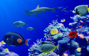 Recife de coral bonito com peixes tropicais