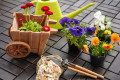 Flores e ferramentas de jardinagem