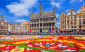 Grand Place, Festival do Tapete de Flores