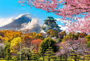 Castelo de Osaka, Cherry Blossom, Monte Fuji