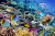 Recife de coral com peixes no Egito