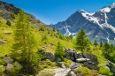 Pinheiros e Pedras, Alpes na Itália
