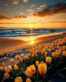 Tulip Sunset