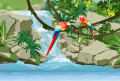 Papagaios de arara e uma cachoeira na selva