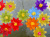 Velas coloridas da flor na água