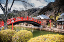 Ponte no Edo Wonderland, Japão