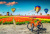 Balões de ar quente sobre campos de tulipas