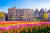 Edifícios antigos e tulipas em Amesterdão