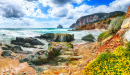 Praia Portu Cauli, Sardenha, Italyng Flores em rochas.  Localização: Masua