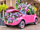 Carro rosa e flores