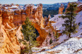 Parque Nacional Bryce Canyon, Utah, EUA