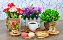 Xícara de Café, Macarons e Flores