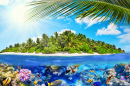 Ilha Tropical, Corais e Peixes Tropicais