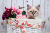 Gatinho siberiano em uma cesta de flores