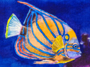 Pintura de peixes do oceano